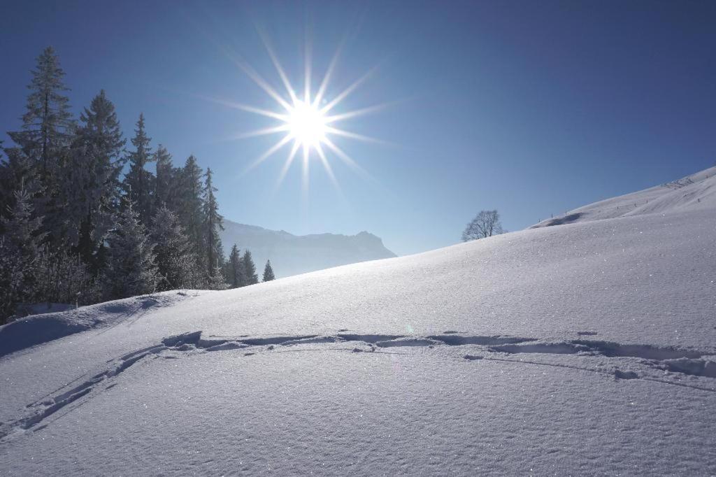 Gasthof Zum Gruenen Baum Verano Esterno foto