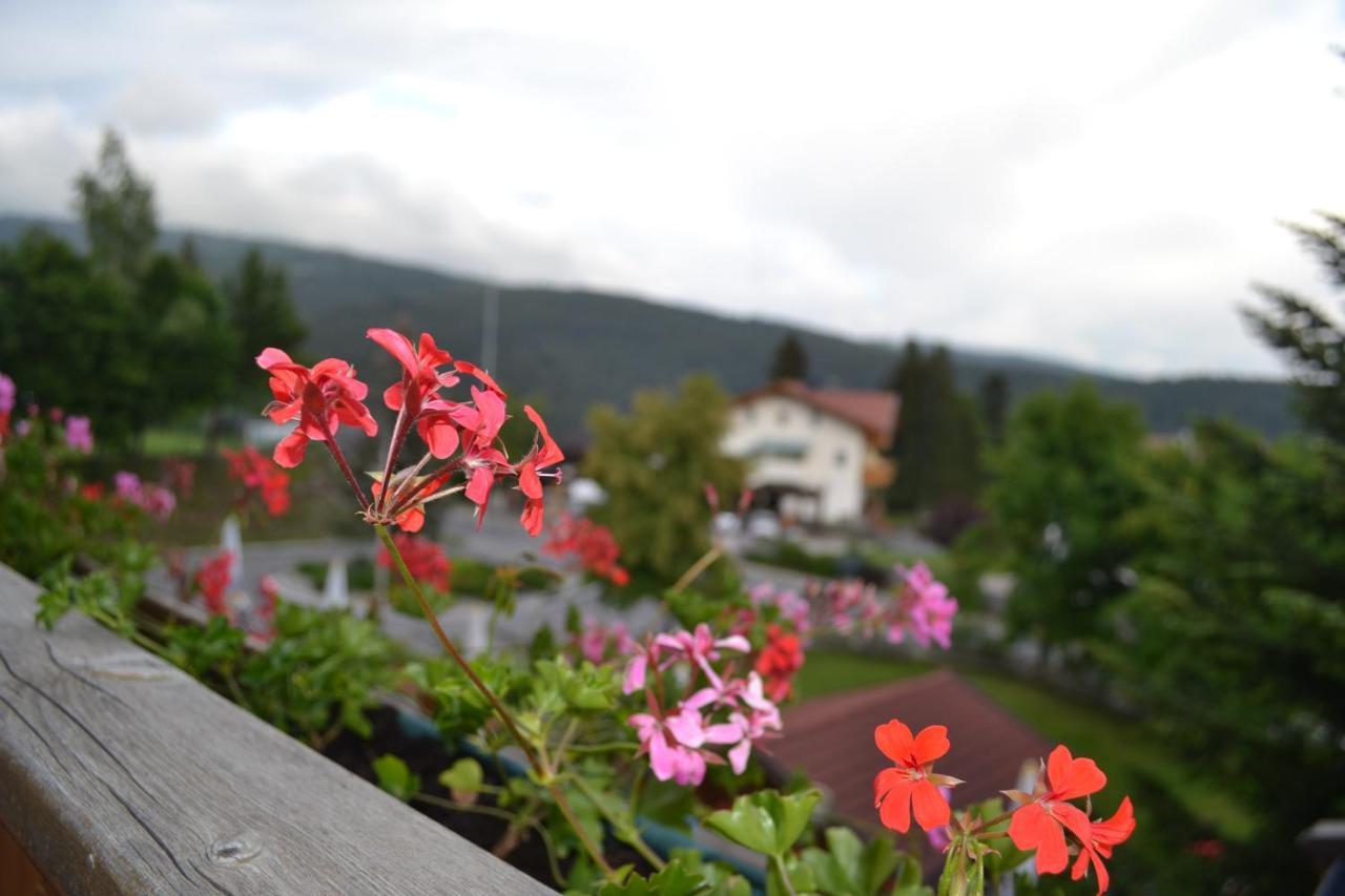 Gasthof Zum Gruenen Baum Verano Esterno foto