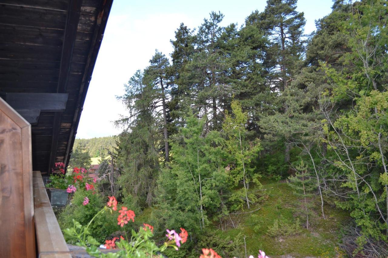 Gasthof Zum Gruenen Baum Verano Esterno foto