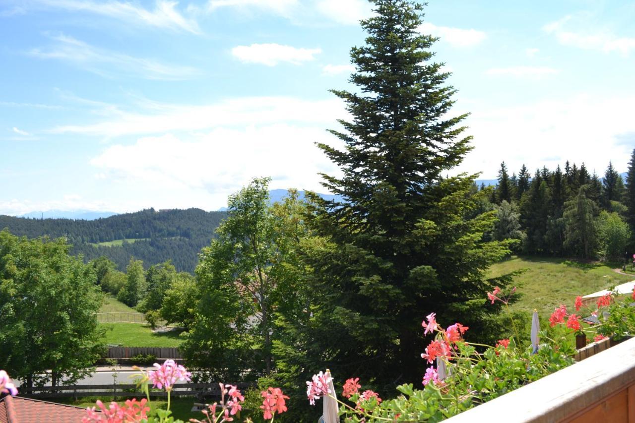 Gasthof Zum Gruenen Baum Verano Esterno foto